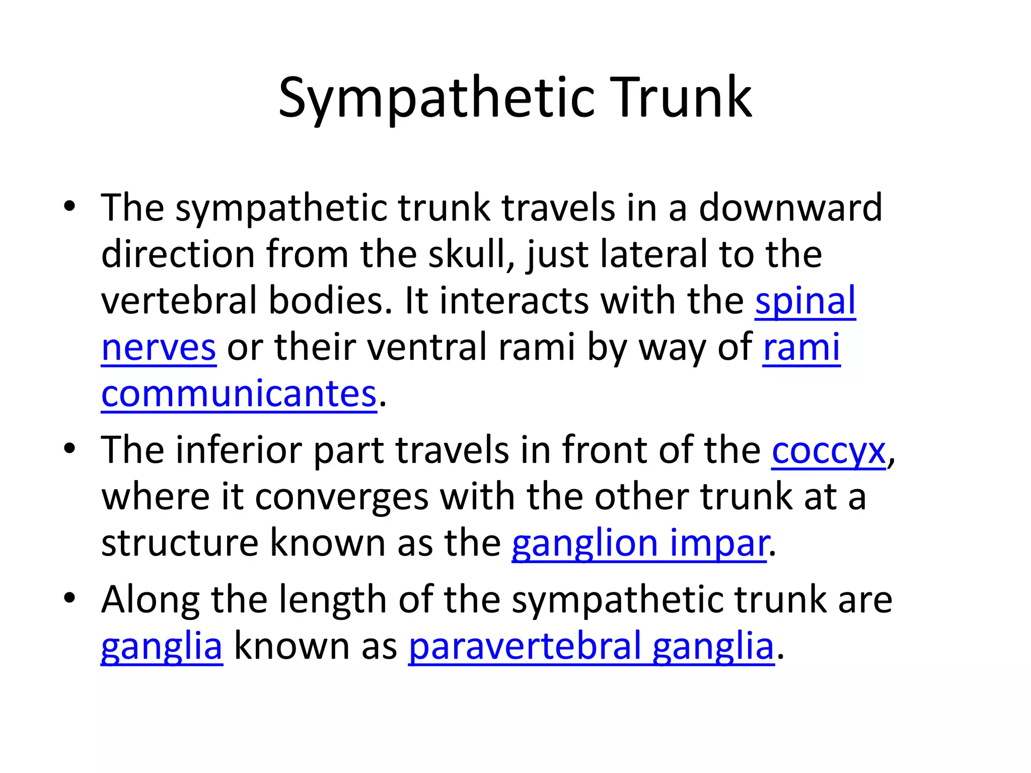 Sympathetic TrunkThe sympathetic trunk travels in a downward direction from the skull, just lateral to the vertebral bodies. It interacts with the spinal nerves or their ventral rami by way of ramicommunicantes.The inferior part travels in front of the coccyx, where it converges with the other trunk at a structure known as the ganglion impar.Along the length of the sympathetic trunk are ganglia known as paravertebral ganglia.