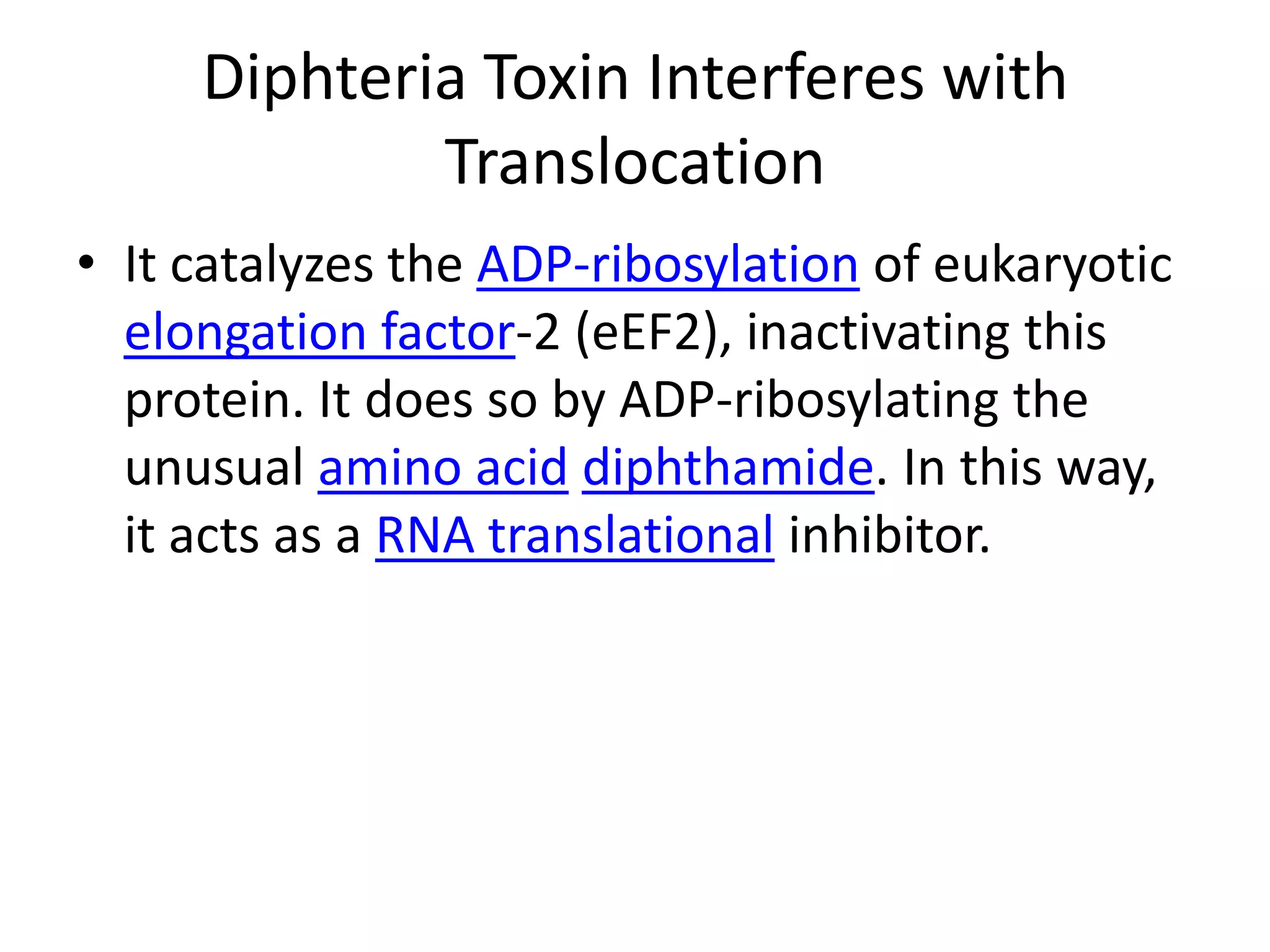 Diphteria Toxin Interferes with TranslocationIt catalyzes the ADP-ribosylation of eukaryotic elongation factor-2 (eEF2), inactivating this protein. It does so by ADP-ribosylating the unusual amino aciddiphthamide. In this way, it acts as a RNA translational inhibitor.