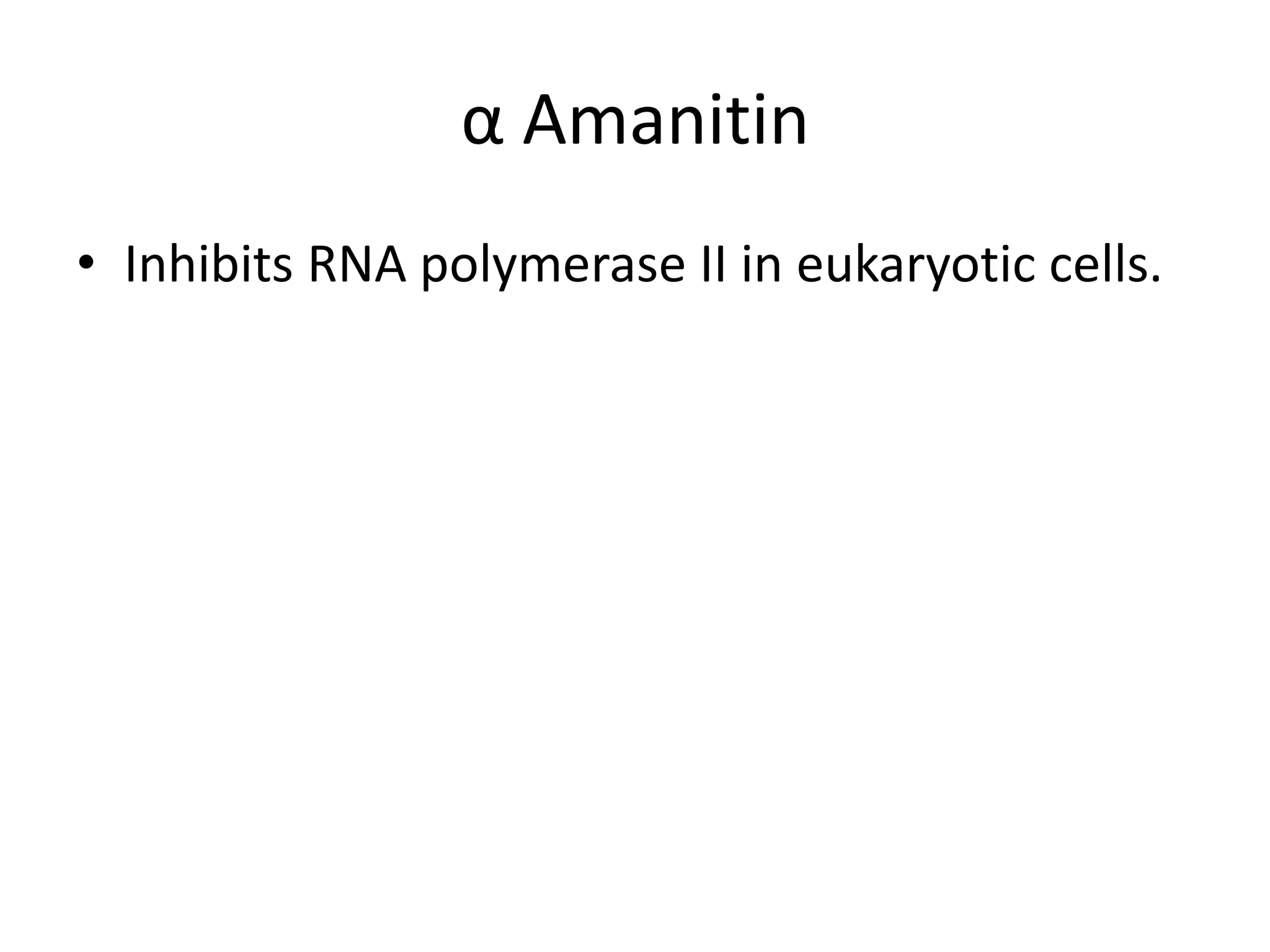 αAmanitinInhibits RNA polymerase II in eukaryotic cells.