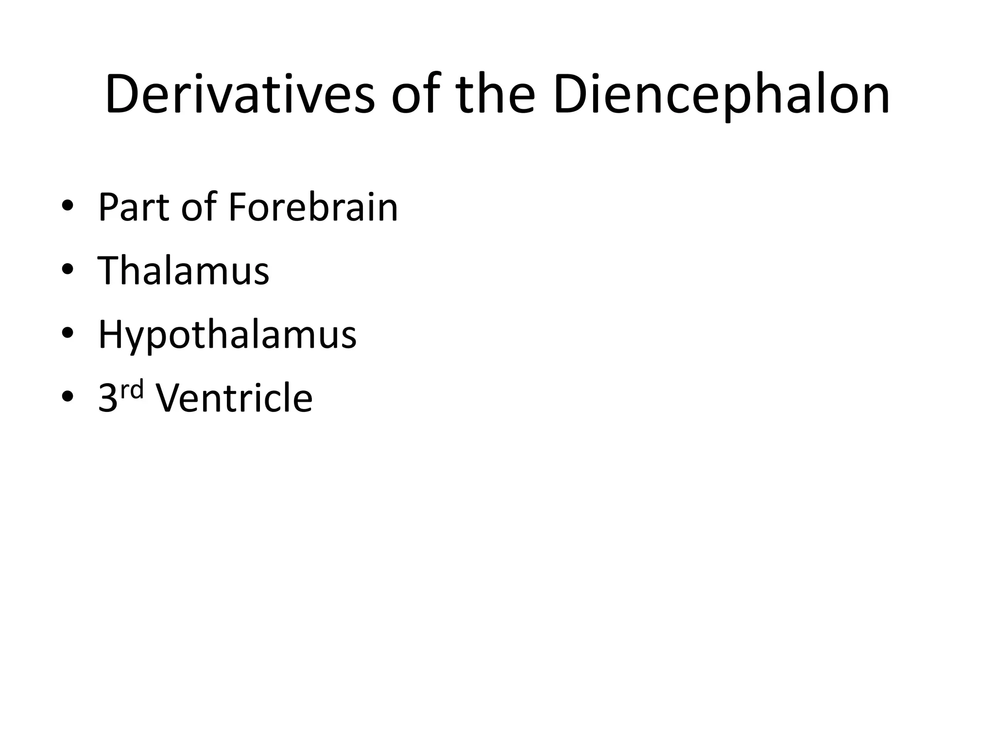 Derivatives of the DiencephalonPart of ForebrainThalamusHypothalamus3rd Ventricle