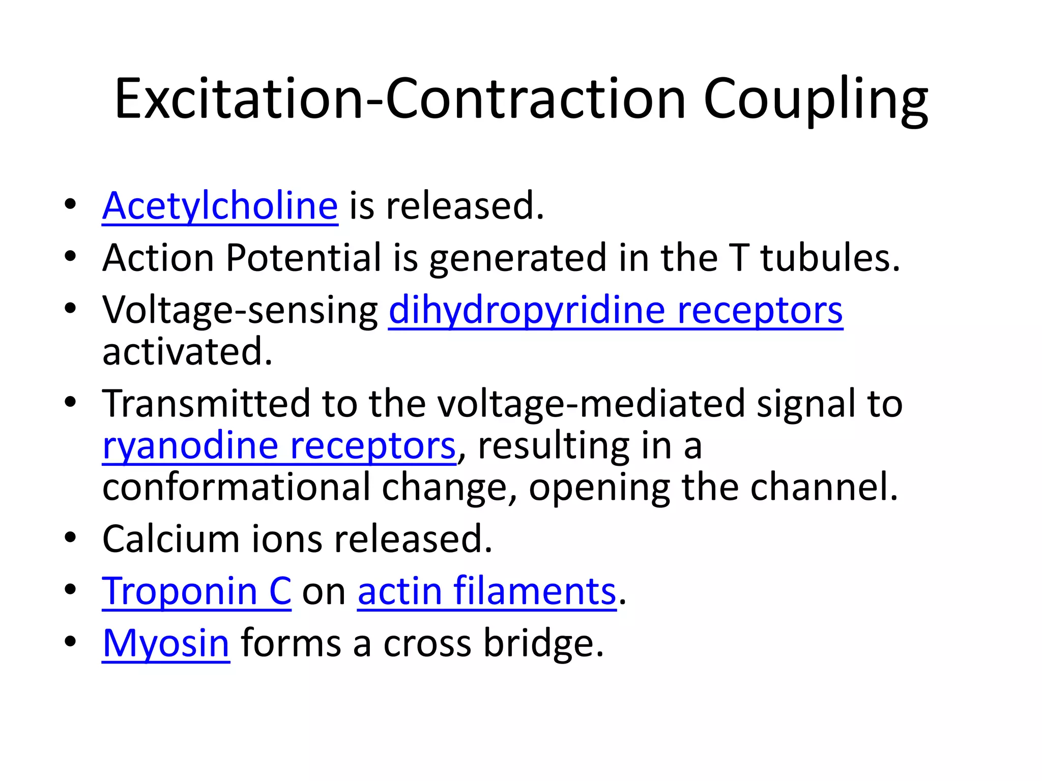 Excitation-Contraction CouplingAcetylcholine is released.Action Potential is generated in the T tubules.Voltage-sensing dihydropyridine receptors activated.Transmitted to the voltage-mediated signal to ryanodine receptors, resulting in a conformational change, opening the channel.Calcium ions released.Troponin C on actin filaments.Myosin forms a cross bridge.