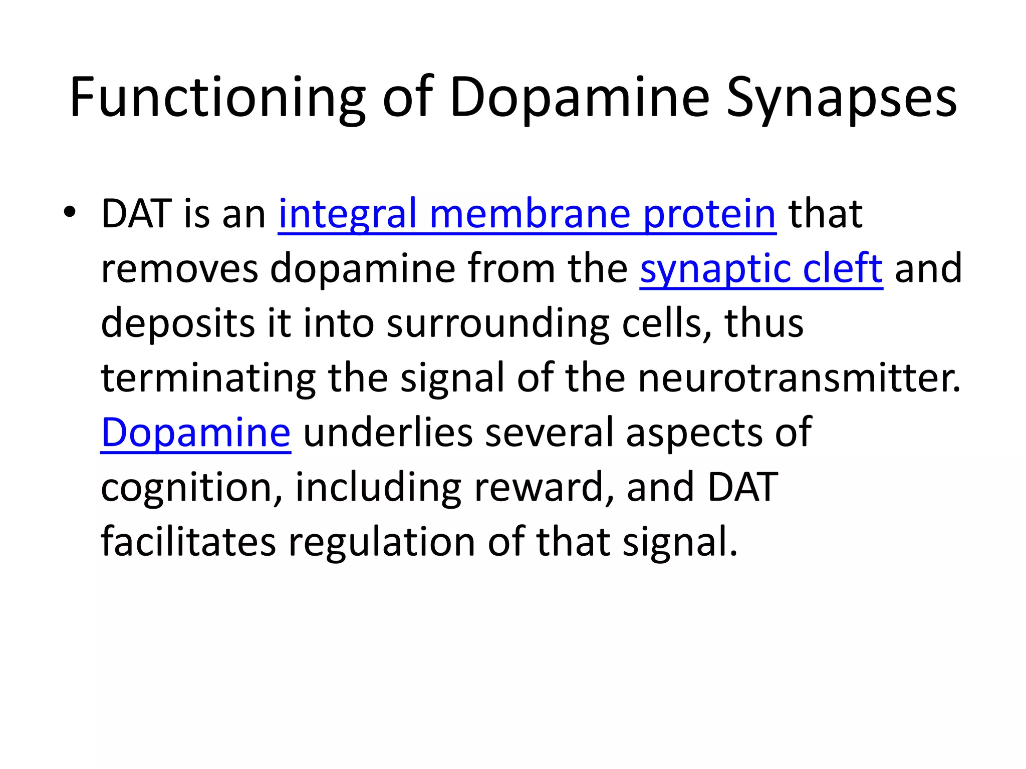 Functioning of Dopamine SynapsesDAT is an integral membrane protein that removes dopamine from the synaptic cleft and deposits it into surrounding cells, thus terminating the signal of the neurotransmitter. Dopamine underlies several aspects of cognition, including reward, and DAT facilitates regulation of that signal.