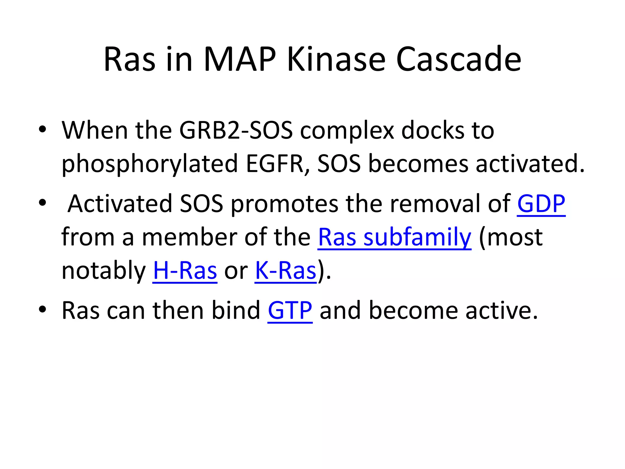 Ras in MAP Kinase CascadeWhen the GRB2-SOS complex docks to phosphorylated EGFR, SOS becomes activated. Activated SOS promotes the removal of GDP from a member of the Ras subfamily (most notably H-Ras or K-Ras). Ras can then bind GTP and become active.