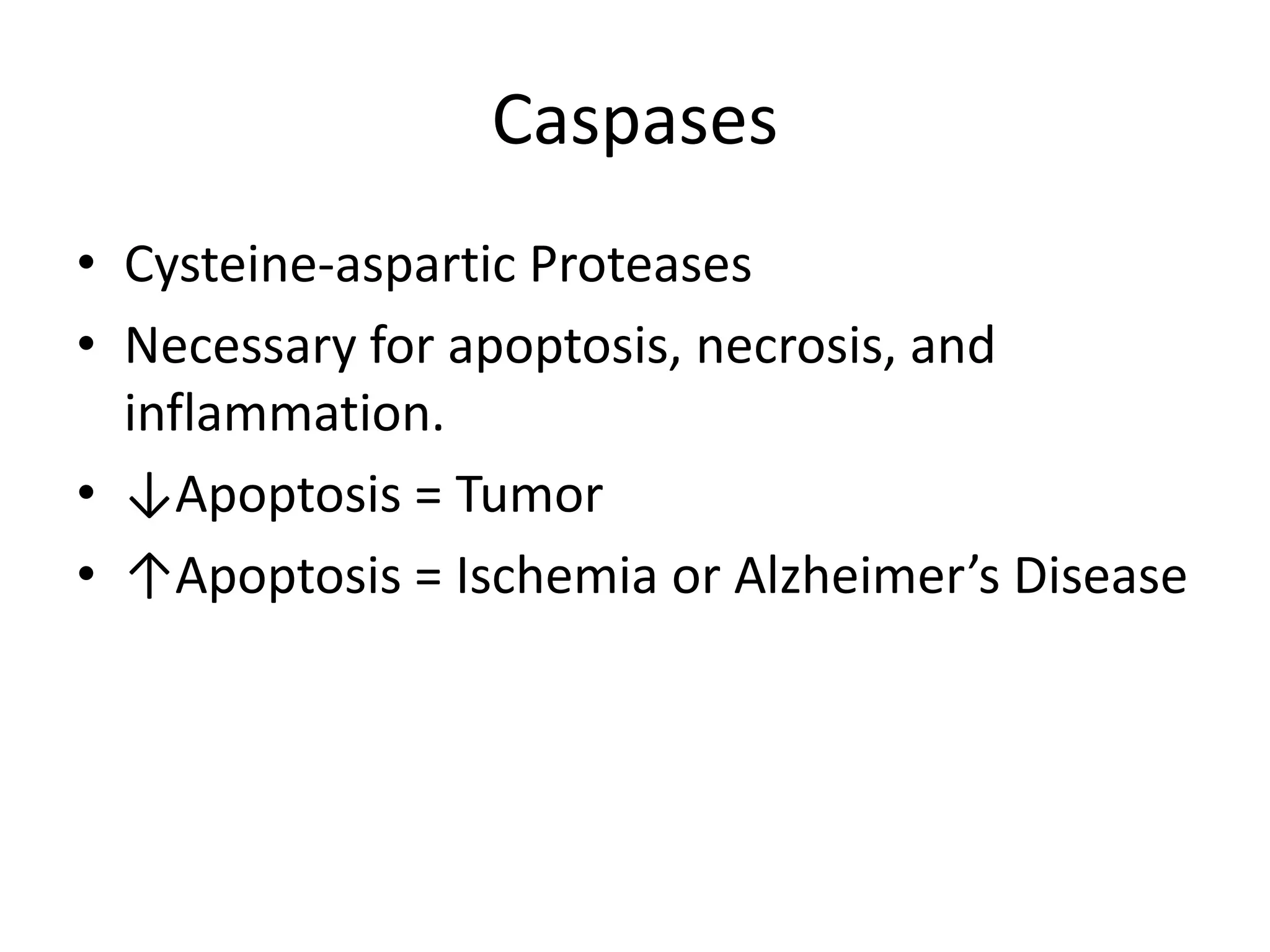 CaspasesCysteine-aspartic ProteasesNecessary for apoptosis, necrosis, and inflammation.↓Apoptosis = Tumor↑Apoptosis = Ischemia or Alzheimer’s Disease