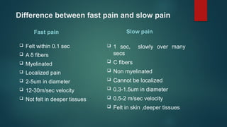 seminar of physiology of pain.pptx for medical purpose | PPTX