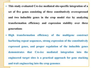 1st_Seminar_PHD.pptx