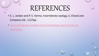 REFERENCES
• E. L. Jordan and P. S. Verma. Invertebrate zoology, S. Chand and
Company Ltd., 1127pp.
• www.biology4isc.weebly.com/morphology-and-antomy-of-
cockroach.