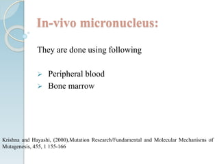In-vivo micronucleus:
They are done using following
 Peripheral blood
 Bone marrow
Krishna and Hayashi, (2000),Mutation Research/Fundamental and Molecular Mechanisms of
Mutagenesis, 455, 1 155-166
 