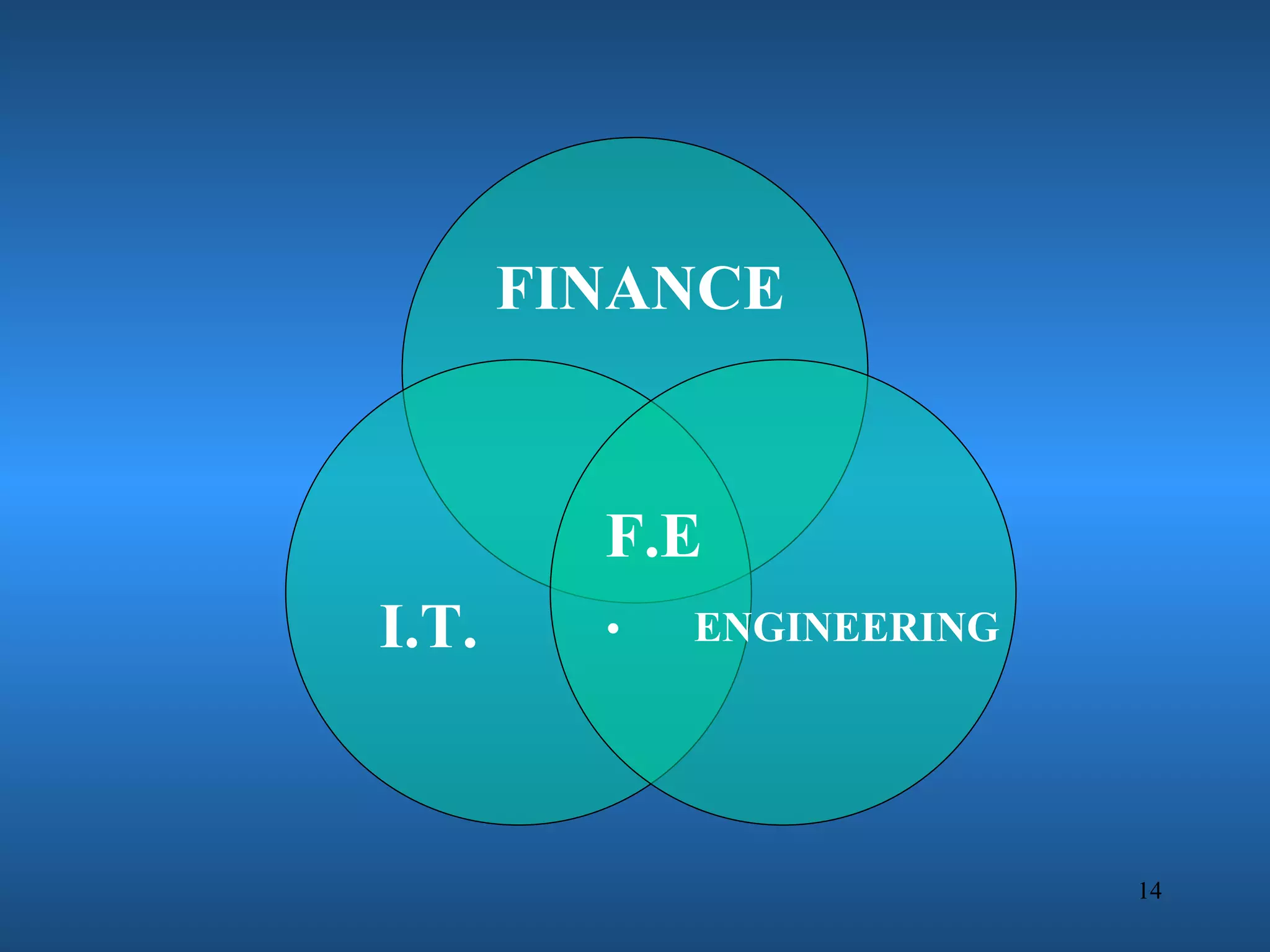 FINANCE


         F.E
I.T.     . ENGINEERING



                         14
 