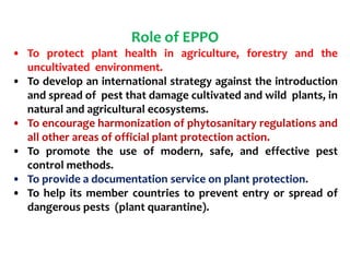 Pl. PATH-605 Introduction to certification. International scenario of ...