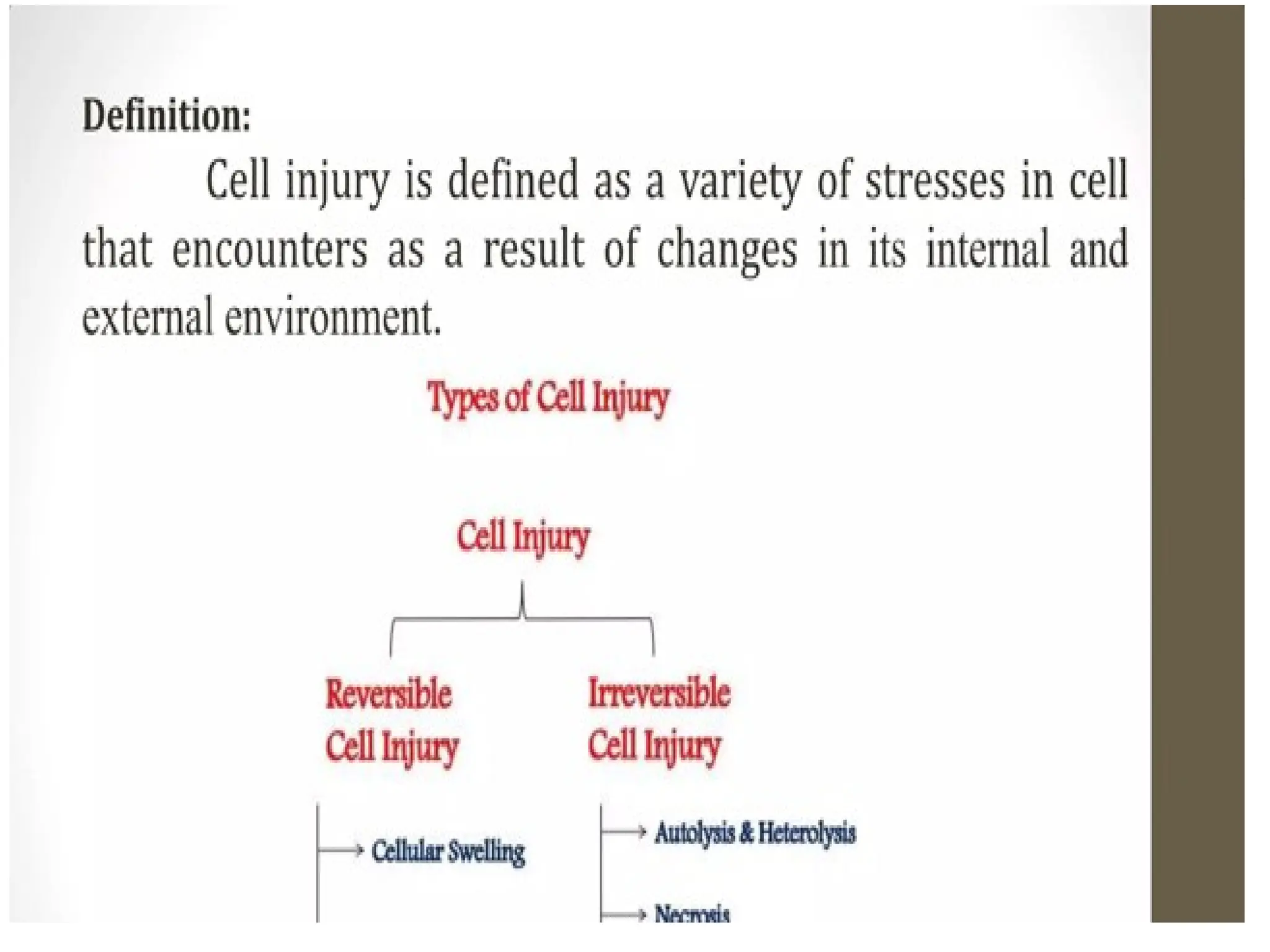 1st Unit patho physiology.pptx By Toni Blair