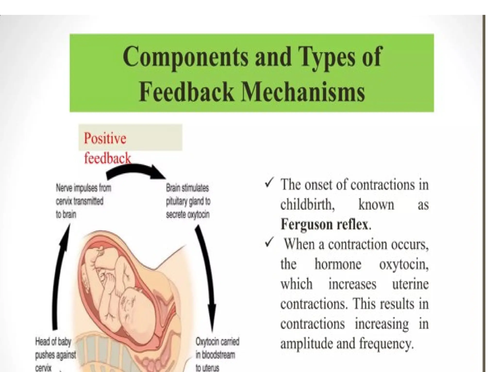 1st Unit patho physiology.pptx By Toni Blair