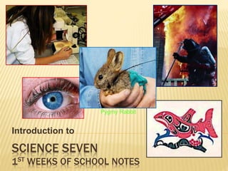SCIENCE SEVEN
1ST WEEKS OF SCHOOL NOTES
Introduction to
Pygmy Rabbit
 