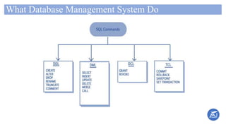 What Database Management System Do
 