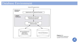 Database Environment
 