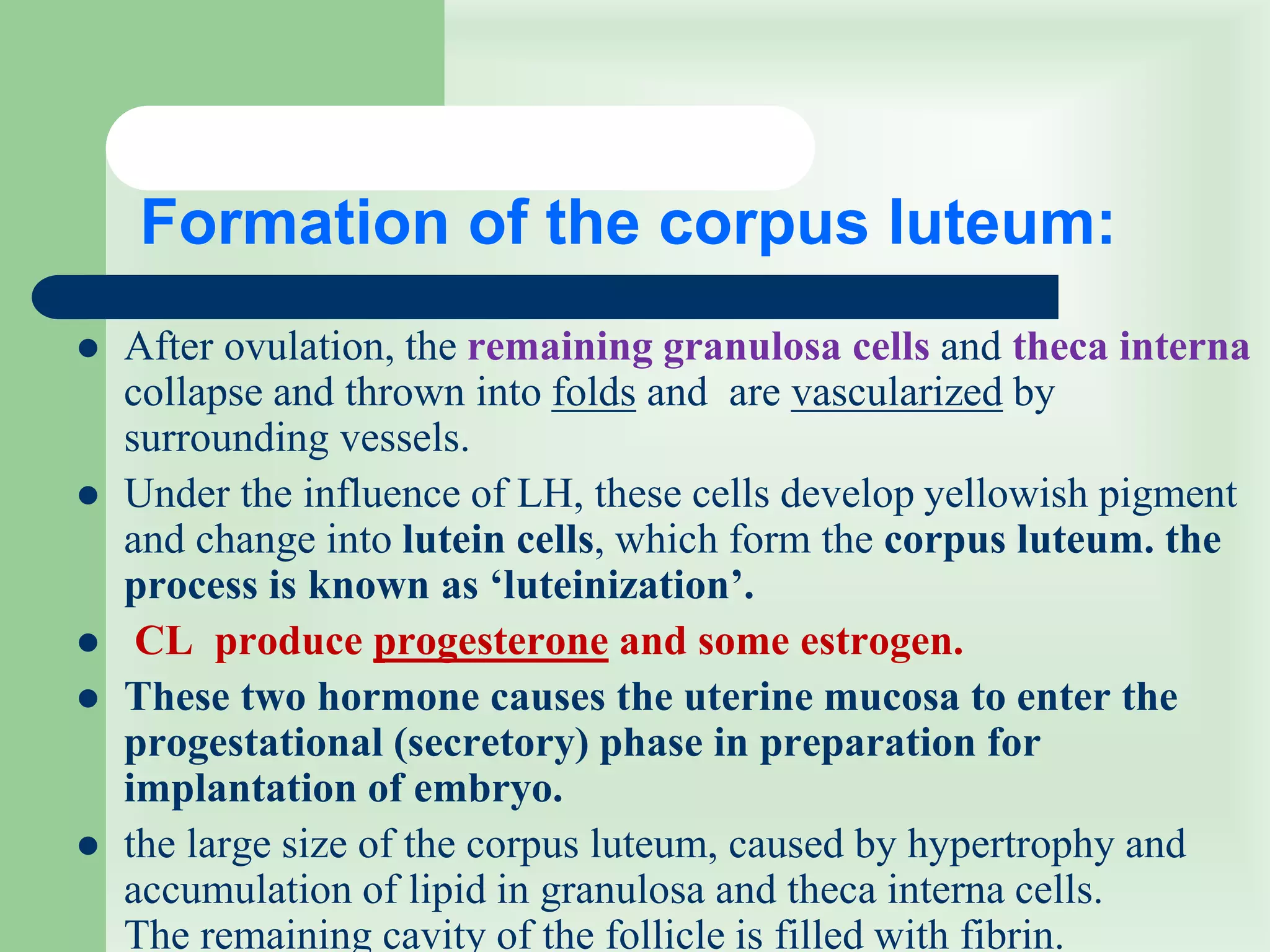 First week of development: Ovulation to Implantation | PPT