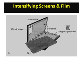 Inverted Radiographic Film radiographic film | PPTX