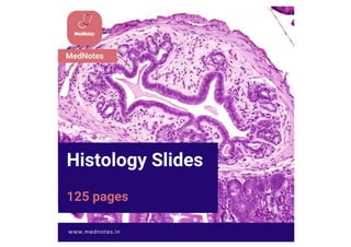 Comprehensive Histology Identification Guide for Human Tissues and ...