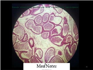 Comprehensive Histology Identification Guide for Human Tissues and ...