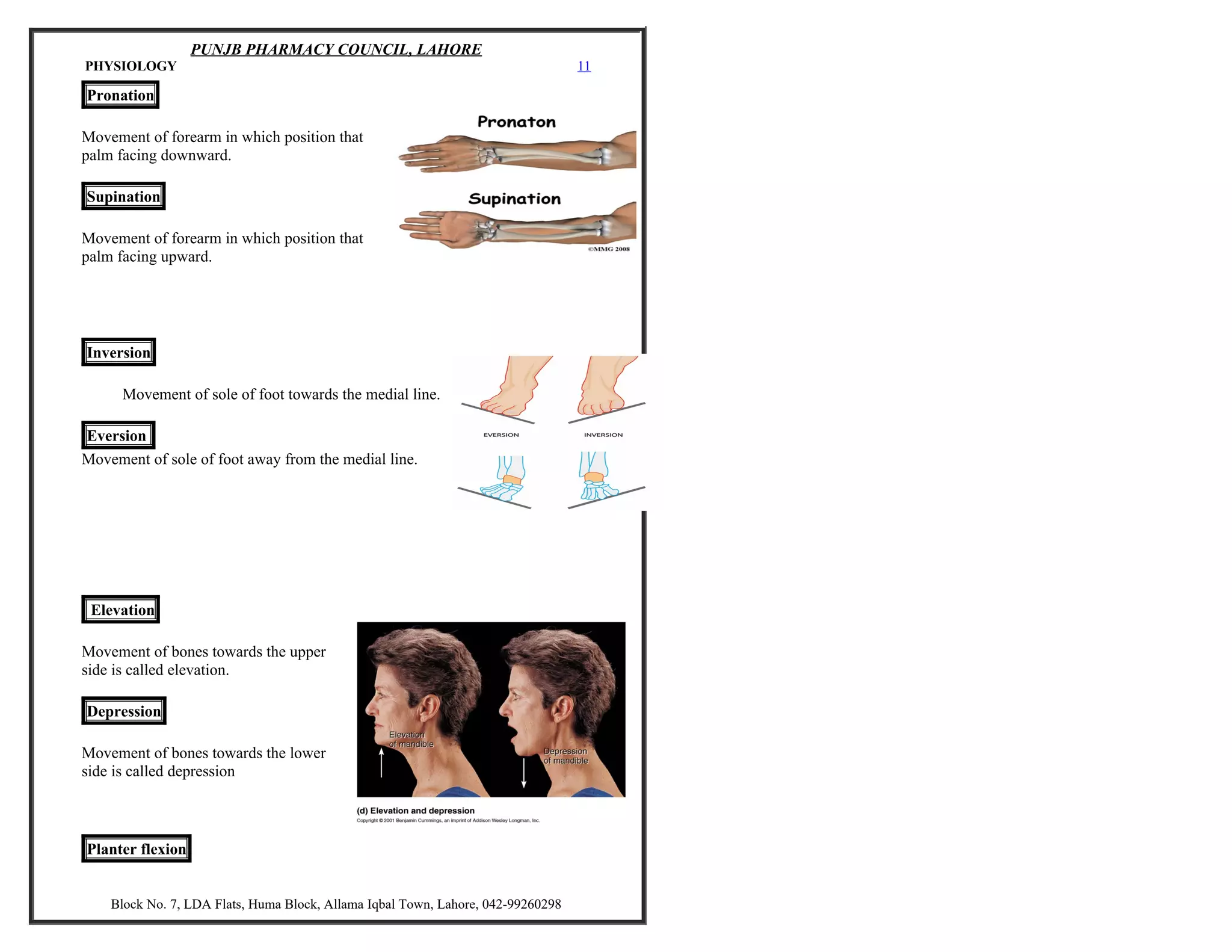 Anatomy visual data 2