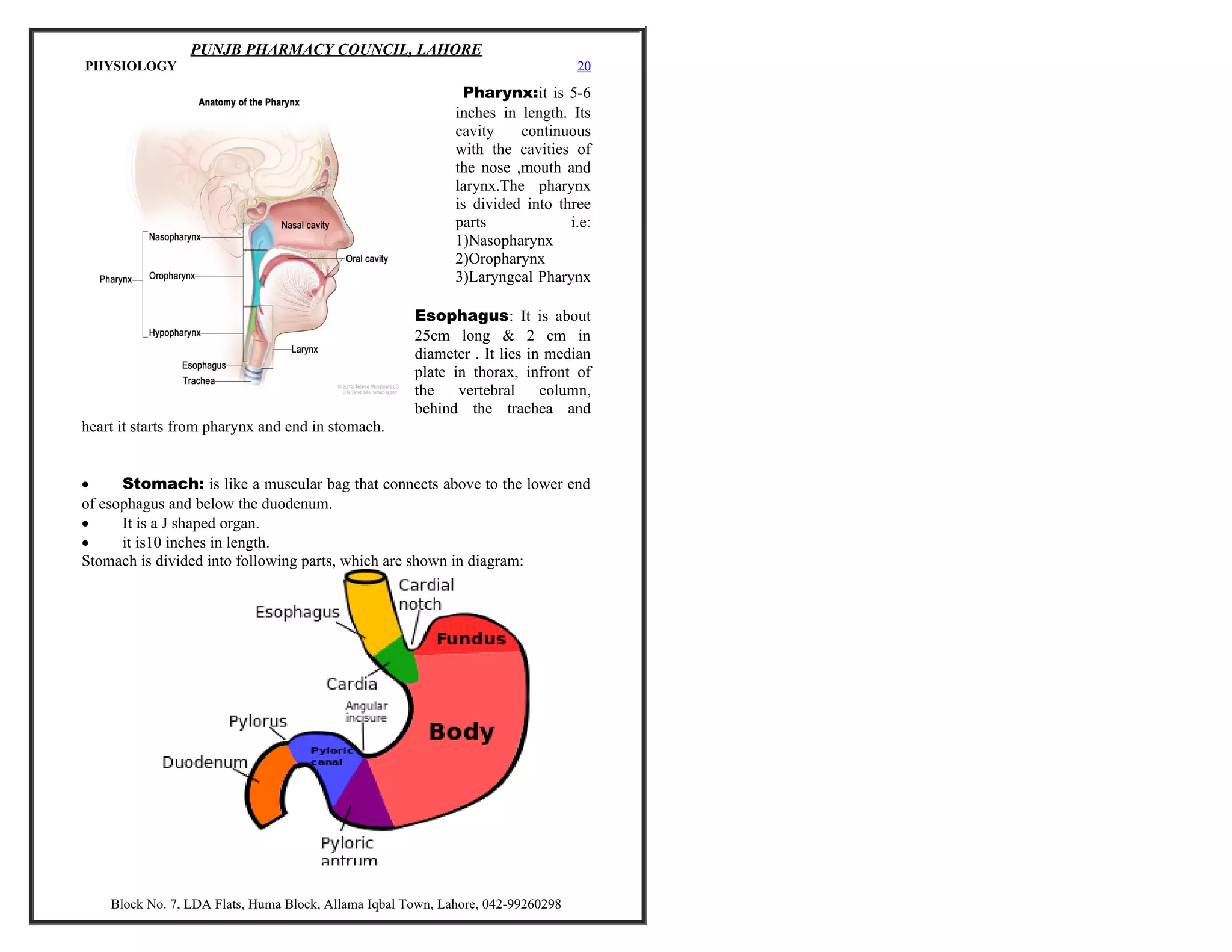 ANATOMY AND PHYSIOLOGY PDF NOTES IN HINDI 1ST YEAR visual data 2