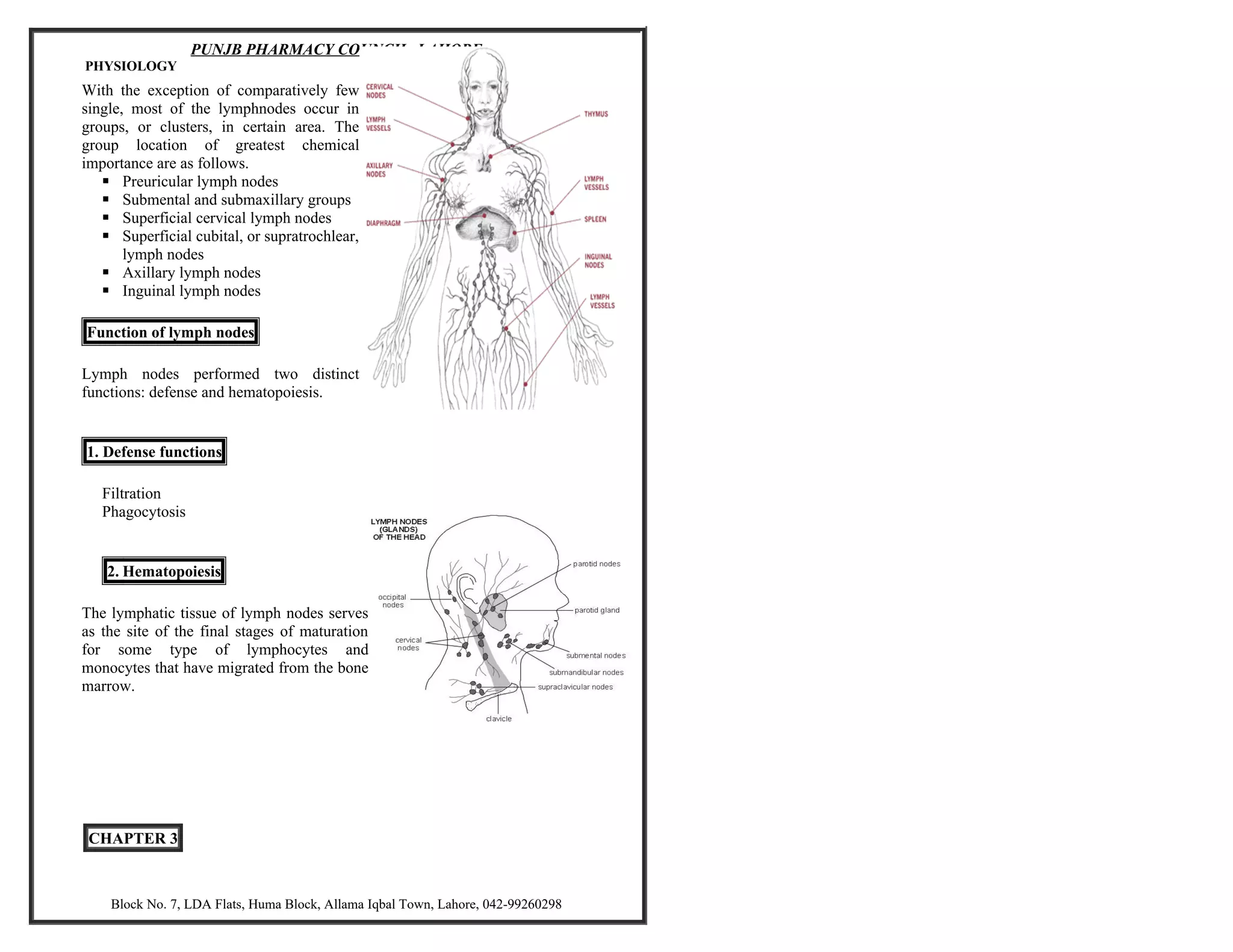 Animal visual data 3