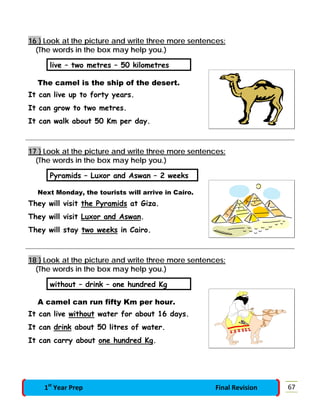 16 } Look at the picture and write three more sentences:
(The words in the box may help you.)
live – two metres – 50 kilometres
The camel is the ship of the desert.
It can live up to forty years.
It can grow to two metres.
It can walk about 50 Km per day.
17 } Look at the picture and write three more sentences:
(The words in the box may help you.)
Pyramids – Luxor and Aswan – 2 weeks
Next Monday, the tourists will arrive in Cairo.
They will visit the Pyramids at Giza.
They will visit Luxor and Aswan.
They will stay two weeks in Cairo.
18 } Look at the picture and write three more sentences:
(The words in the box may help you.)
without – drink – one hundred Kg
A camel can run fifty Km per hour.
It can live without water for about 16 days.
It can drink about 50 litres of water.
It can carry about one hundred Kg.
671st
Year Prep Final Revision
 