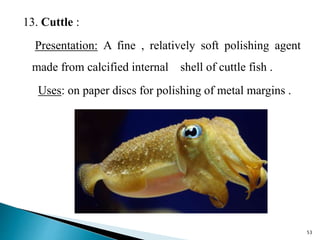 finishing and polishing agents | PPTX