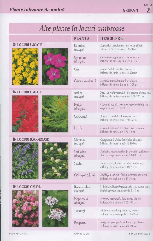 1 Sugestii Pentru Amenajarea Gradinii