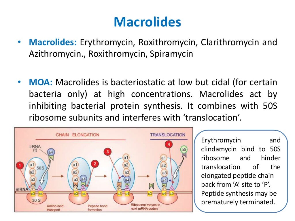 Introduction to sulphonamides, trimethoprim, quinolones, penicillins,…