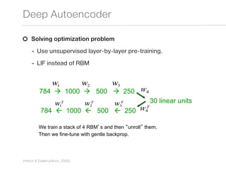 Summary of a neural model of human image categorization | PPT
