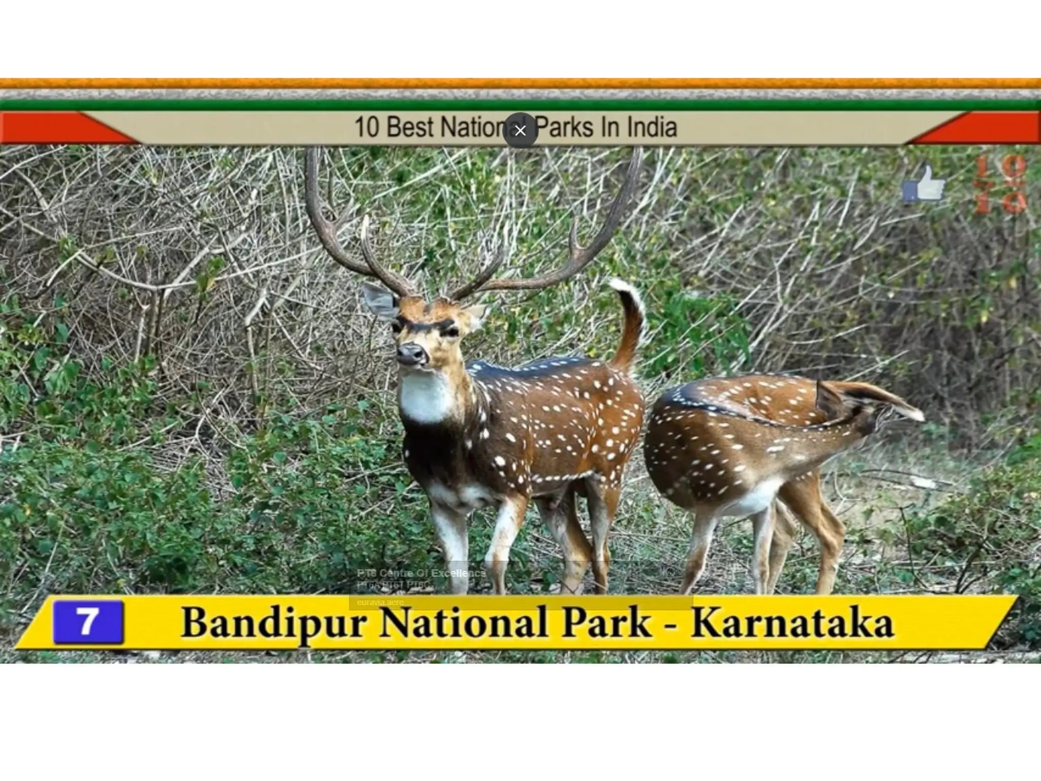 Ch 1  of class EVS Super Senses 3 (1).ppt