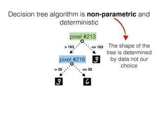 pixel #213
> 163 <= 163
pixel #216
> 30 <= 30
Decision tree algorithm is non-parametric and
deterministic
The shape of the
tree is determined
by data not our
choice
 