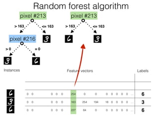 Feature vectors Labels
0 0 0 0 0 0 0 31 132 254 253 254 213 82 0 0 0 0 0 0 … 3
0 0 0 0 0 0 0 25 142 254 254 193 30 0 0 0 0 0 0 0 … 6
0 0 0 0 0 0 0 0 123 254 87 0 0 0 0 0 0 0 0 0 … 6
0 0 0 0 0 0 0 0 59 163 254 254 254 194 112 18 0 0 0 0 … 3
0 0 0 0 0 0 0 0 19 227 254 84 0 0 0 0 0 0 0 0 … 6
Instances
Random forest algorithm
pixel #213
> 163 <= 163
pixel #216
> 0 = 0
pixel #213
> 163 <= 163
 
