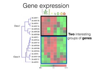 Gene expression
Two interesting
groups of genes
 