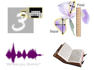 0 0 0 0 0 0 0
0 0 0 0 0 0 0
0 155 255 255 255 155 0
255 255 255 255 255 255 255
255 155 78 78 155 255 255
255 0 0 0 0 155 255
“We love you, Mummy!”
Petal
Sepal
 
