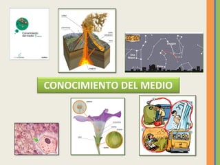 CONOCIMIENTO DEL MEDIO
 