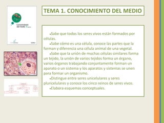TEMA 1. CONOCIMIENTO DEL MEDIO
●Sabe que todos los seres vivos están formados por
células.
●Sabe cómo es una célula, conoc...