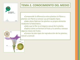 TEMA 2. CONOCIMIENTO DEL MEDIO
●Comprende la diferencia entre plantas sin flores y
plantas con flores y conoce sus princip...