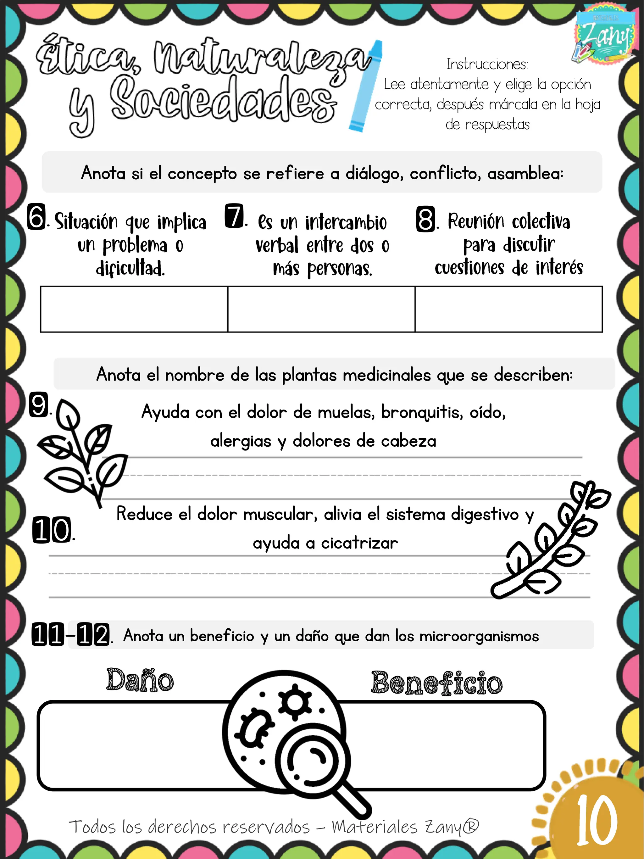 1° T3 Examen Zany de primer grado compl PDF