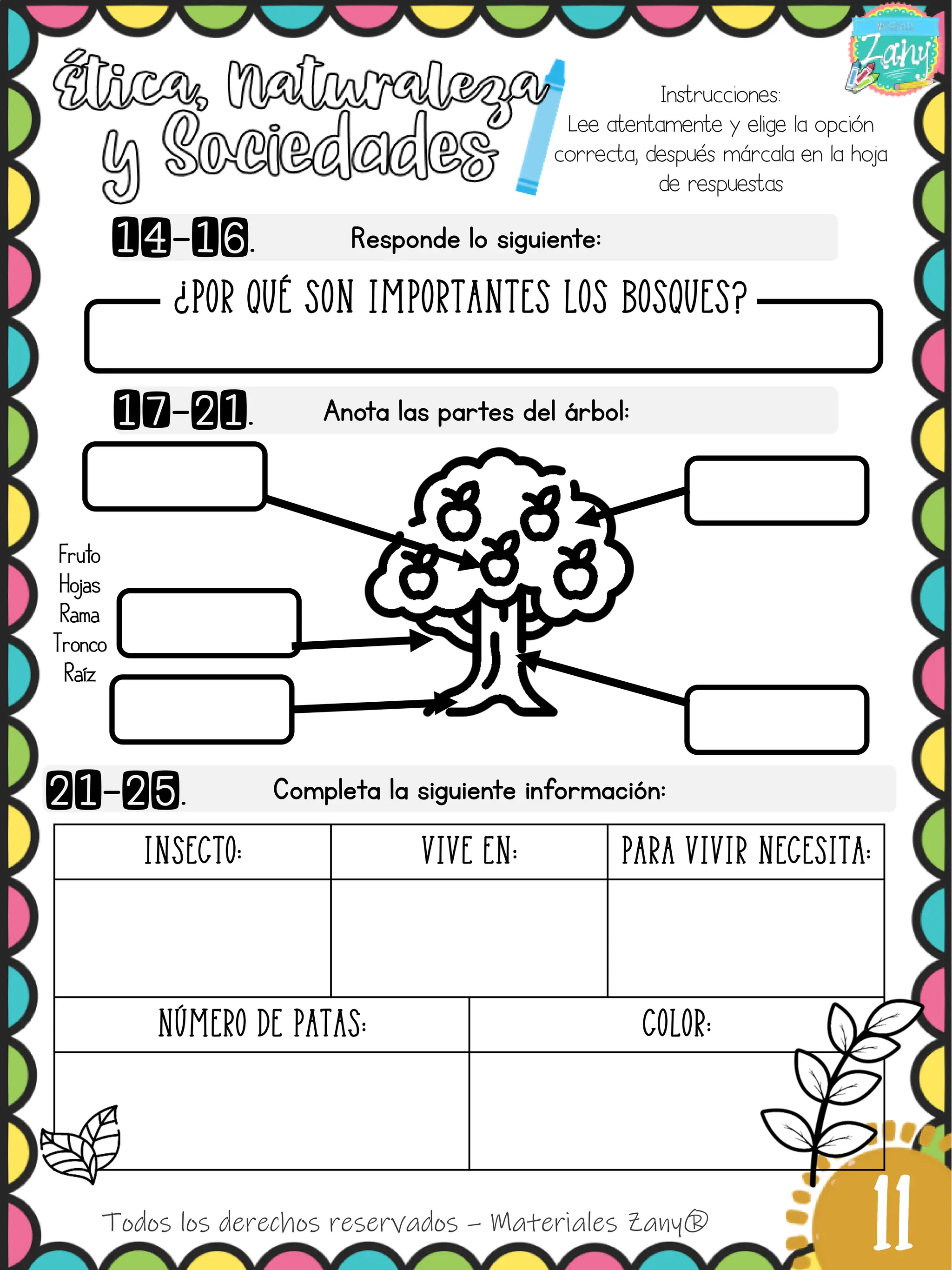 1° T3 Examen Zany de primer grado compl PDF