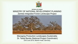 REPUBLIC OF ZAMBIA
MINISTRY OF NATIONAL DEVELOPMENT PLANNING
Zambia Integrated Forest Landscape Project
Managing Production Landscapes Sustainably
Dr. Tasila Banda (National Project Coordinator)
23rd June 2019, Maritim Hotel, Germany.
GLFBonn2019
1
 