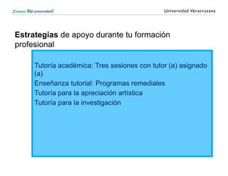 Estrategias de apoyo durante tu formación
profesional
Tutoría académica: Tres sesiones con tutor (a) asignado
(a)
Enseñanza tutorial: Programas remediales
Tutoría para la apreciación artística
Tutoría para la investigación
 