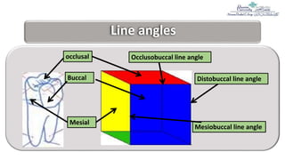 1= Teeth nomenclature, numbering, surfaces and angles.pptx