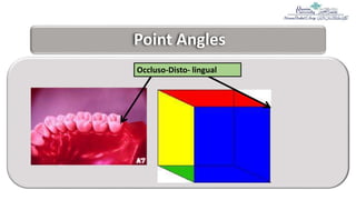 1= Teeth nomenclature, numbering, surfaces and angles.pptx