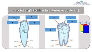 1= Teeth nomenclature, numbering, surfaces and angles.pptx