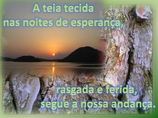 A teia tecida nas noites de esperança, rasgada e ferida, segue a nossa andança.