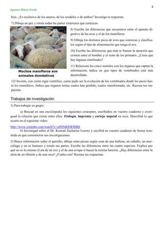 8
bios. ¿Es exclusivo de los anuros, de los urodelos o de ambos? Investiga tu respuesta.
7) Dibuja un pez y rotula todas las partes exteriores que conozcas.
8) Escribe las diferencias que encuentres entre el aparato di-
gestivo de las aves y el de los mamíferos.
9) Dibuja los distintos picos de aves que conozcas y clasifíca-
los según el tipo de alimentación que tenga el ave.
10) Escribe las diferencias que más te llamen la atención que
existen entre el hombre y el resto de los primates. ¿Crees que
hay algunas similitudes?
11) Relaciona los cinco sentidos con los órganos que captan la
información, indica en que tipos de vertebrados está más
desarrollado.
12) Inventa, con cierto rigor científico, como pudo ser la evolución de los vertebrados desde los peces has-
ta los mamíferos. Indica que órganos tenías cuales han perdido, cuales transformado, etc. Razona tus res-
puestas
Apuntes Marea Verde
Trabajos de investigación.
1) Para trabajar en grupo:
a) Buscad en una enciclopedia los siguientes conceptos, escribidlos en vuestro cuaderno y averi-
guad la relación que existe entre ellos. Etología, impronta y cortejo nupcial en aves. Describid lo que
ocurre en el siguiente video:
http://www.youtube.com/watch?v=e4NNKPdERBQ
b) Investigad sobre el Dr. Konrad Zacharias Lorenz y escribid en vuestro cuaderno de forma resu-
mida en qué consistieron sus investigaciones.
2) Busca información sobre el quiridio, dibuja estas piezas según sean de una ballena, un caballo, un mur-
ciélago y un se humano y rotula sus partes. Escribe las diferencias entre las cuatro especies. Explica por
qué no es lo mismo el ala de un ave y el de una avispa si hacen la misma función. ¿Hay diferencias entre la
aleta de un tiburón y de una orca? ¿Cuáles son? Razona tus respuestas.
 