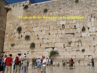 El muro de los lamentos en la actualidad
 