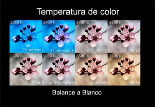 Temperatura de color
Balance a Blanco
 